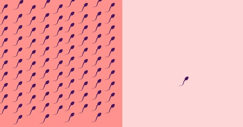 SE-8731d48c-90c5-43fc-b67c-e756929c06e9.jpg?type=w966