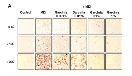 %EA%B0%80%EB%A5%B4%EC%8B%9C%EB%8B%88%EC%95%84%EA%B0%84%EC%86%90%EC%83%8104.png?type=w966