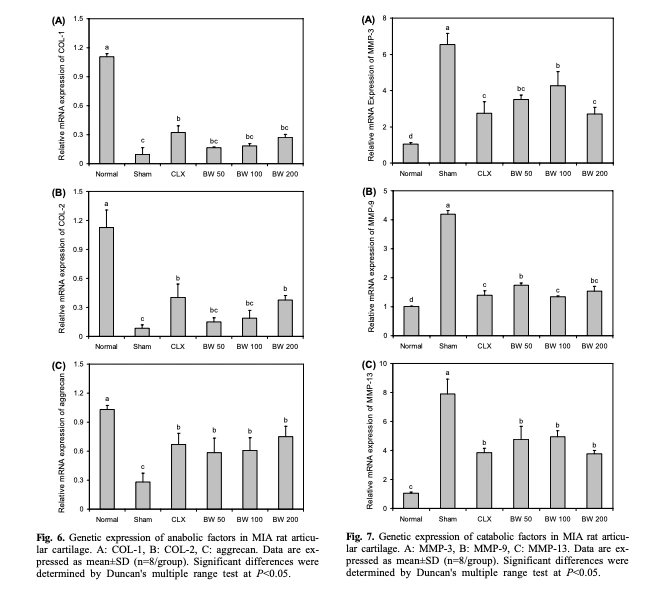 %EA%B4%80%EC%A0%88%EB%B3%B4%EC%8A%A4%EC%9B%B0%EB%A6%AC%EC%95%8406.png?type=w966