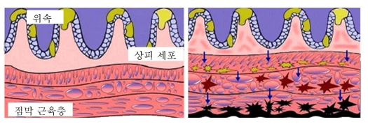 %EB%8B%B4%EC%A0%81%EB%B3%9102.png?type=w966