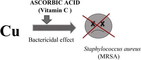 %EC%98%81%EC%96%91%EC%A0%9C%EA%B6%81%ED%95%A908.jpeg?type=w966