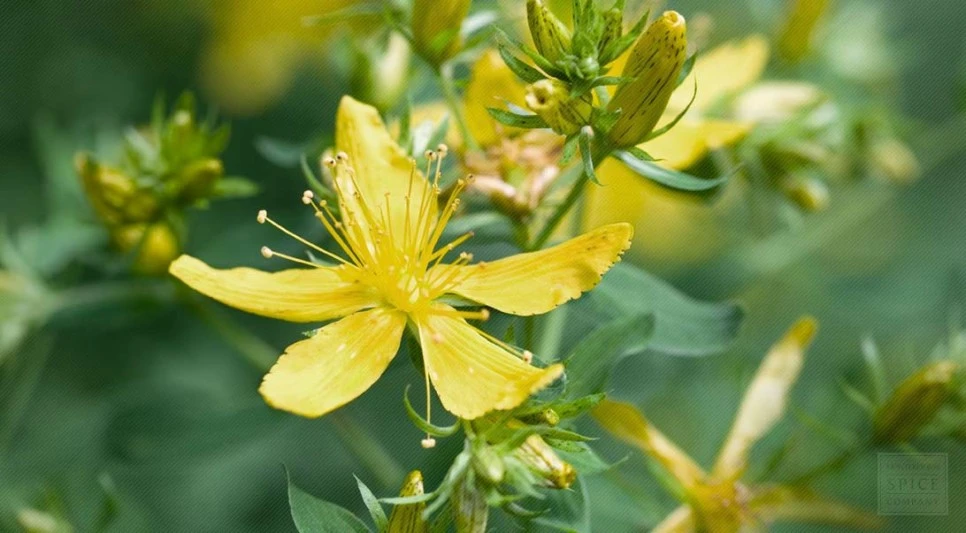 %EA%B0%84%EB%8F%85%EC%84%B105.jpg?type=w966