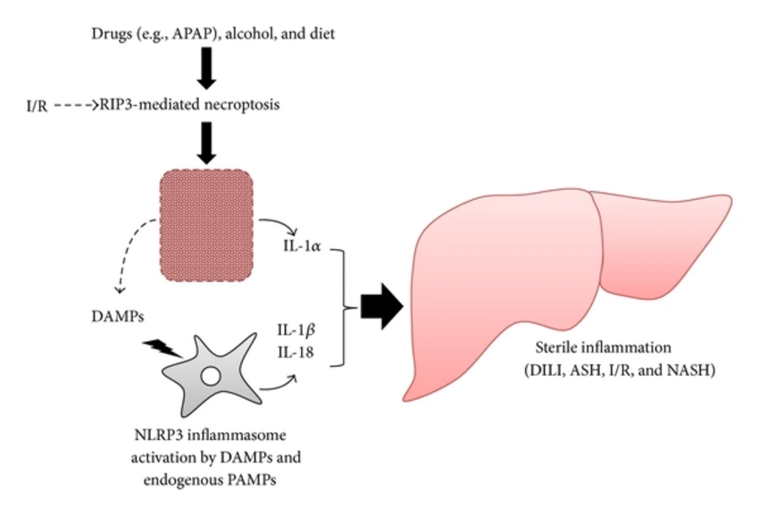%EC%98%81%EC%96%91%EC%A0%9C%EA%B6%81%ED%95%A909.png?type=w966