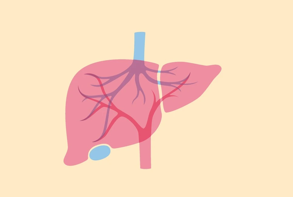 %EA%B0%80%EB%A5%B4%EC%8B%9C%EB%8B%88%EC%95%84%EA%B0%84%EC%86%90%EC%83%8105.jpg?type=w966