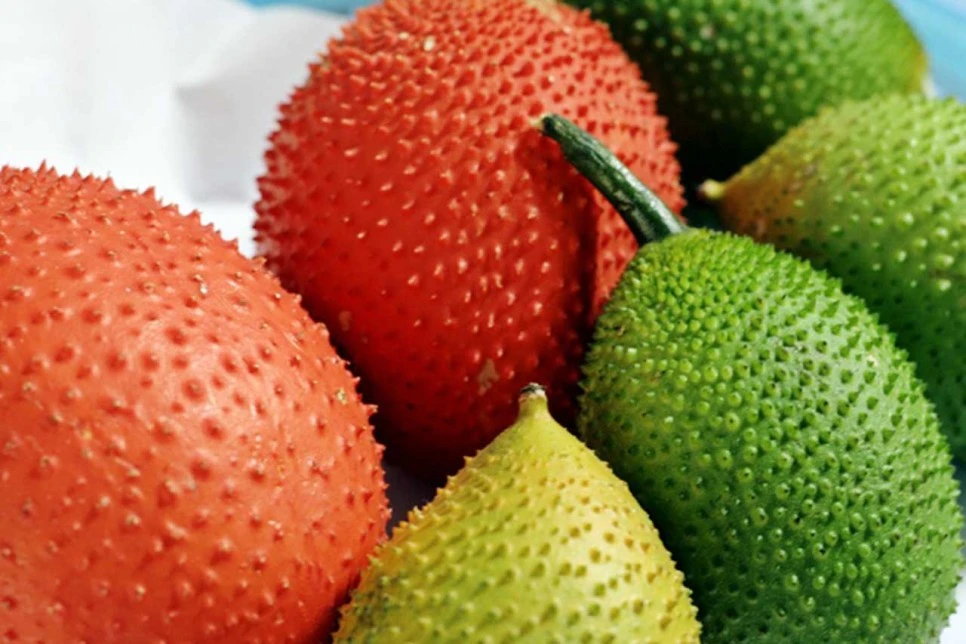 %EB%9D%BC%EC%9D%B4%EC%BD%94%ED%8E%9C%ED%9A%A8%EB%8A%A504.jpg?type=w966