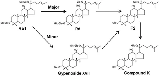 %ED%99%8D%EC%82%BC%EC%A6%9904.jpg?type=w966