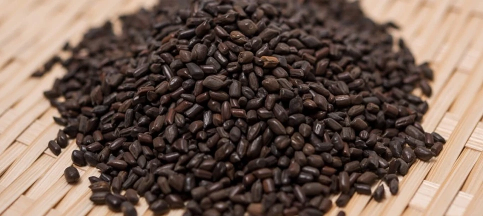 SE-8585ea10-e944-4b37-8533-35d9c4bac25f.jpg?type=w966