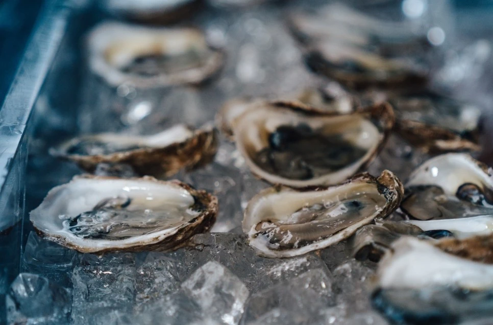 SE-e77a3c4f-d704-42a4-8ecf-4b1b7f981f48.jpg?type=w966