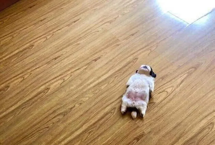 %EC%9C%A0%ED%86%B5%EA%B8%B0%ED%95%9C%EC%A7%80%EB%82%9C%EB%B9%84%ED%83%80%EB%AF%BC06.jpg?type=w966