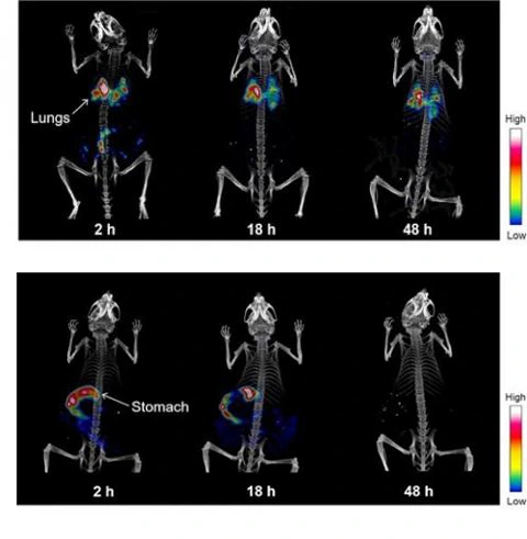 %EB%AA%A9%EC%9D%B4%EC%B9%BC%EC%B9%BC%ED%95%A0%EB%95%8C02.jpg?type=w966