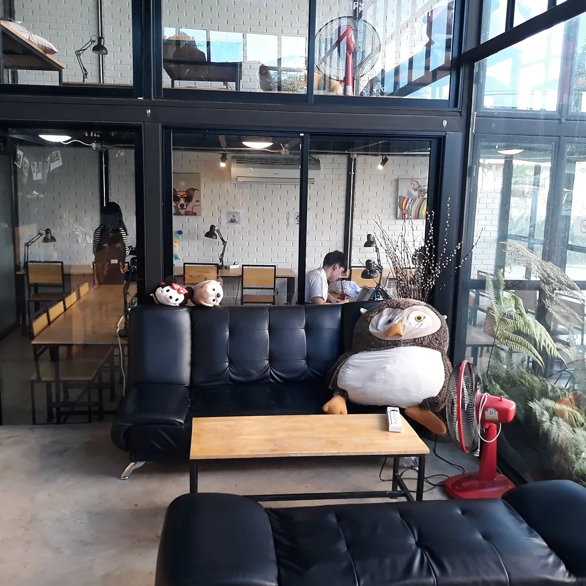 49181201_240163086691914_523611037992222720_n.jpg?type=w1200