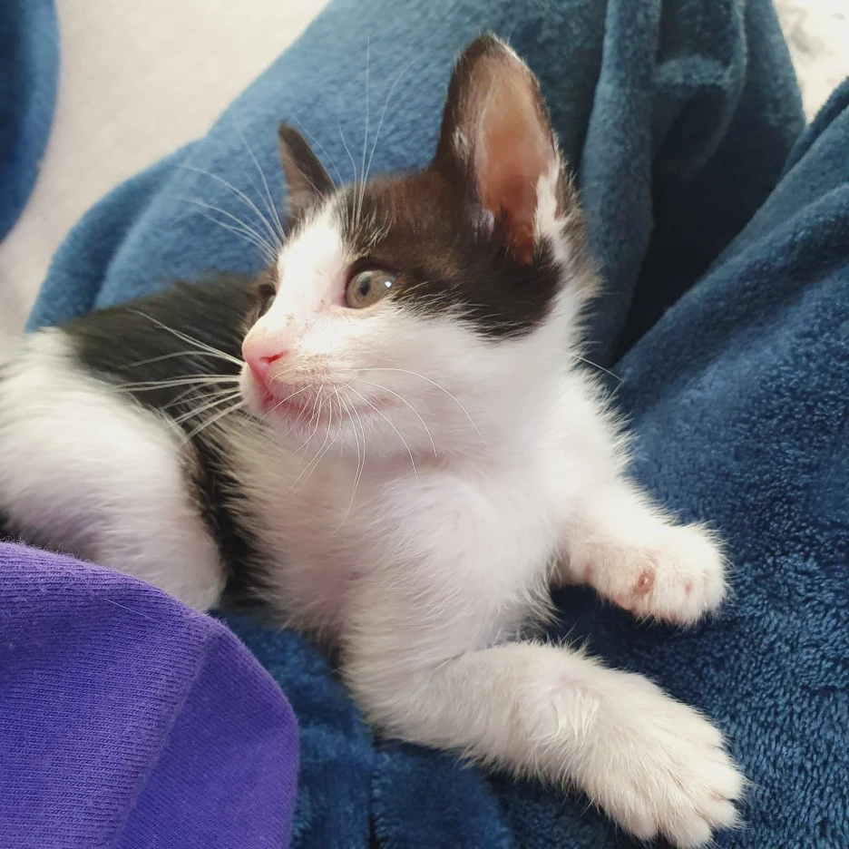 KakaoTalk_20211025_134140895_05.jpg?type=w1