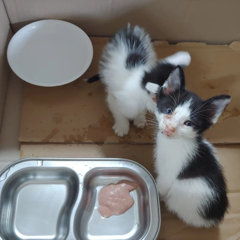 KakaoTalk_20211014_210458898.jpg?type=w1