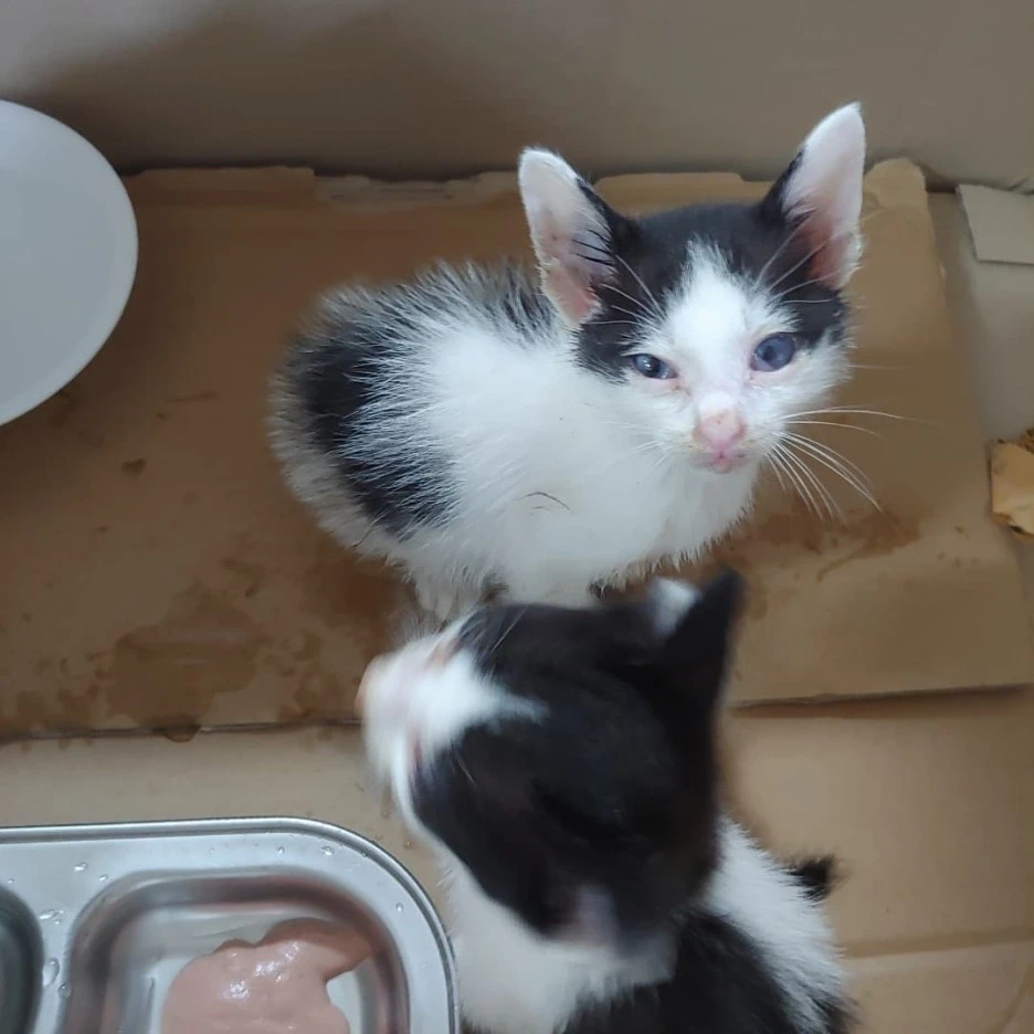 KakaoTalk_20211014_210458898_01.jpg?type=w1