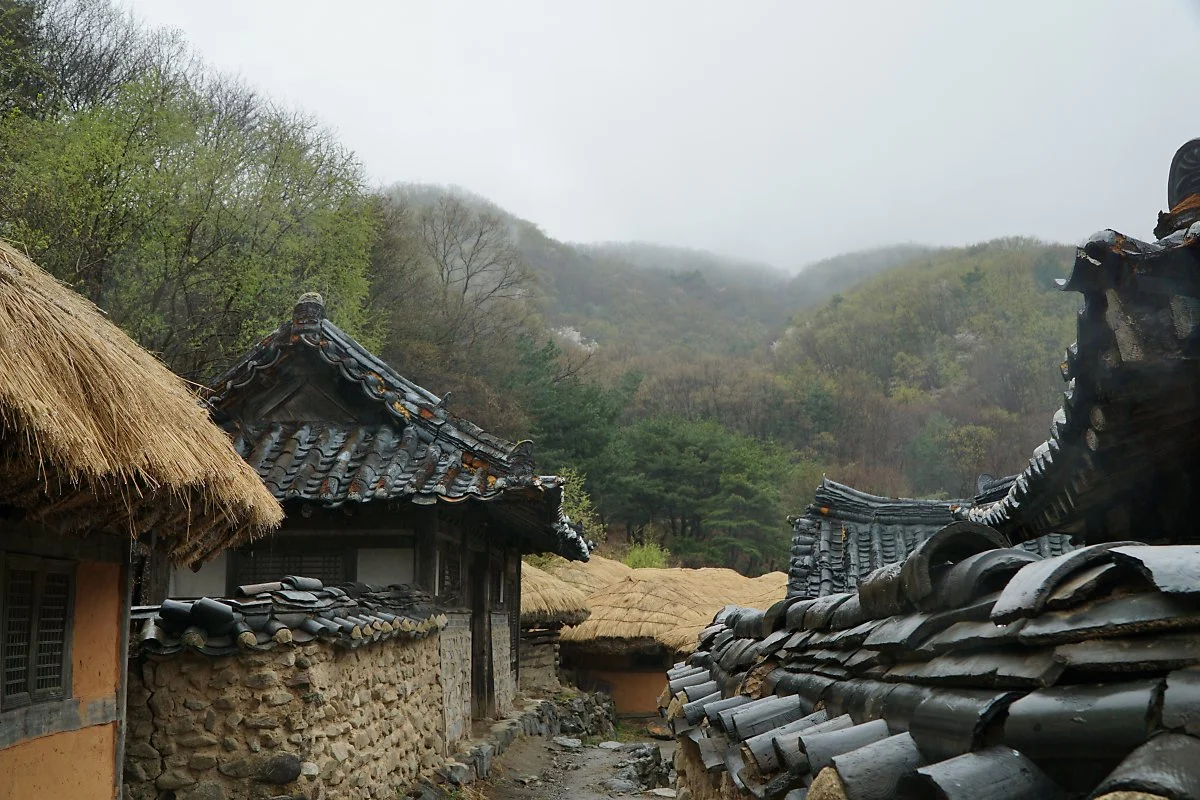 DSC01333.JPG?type=w1200