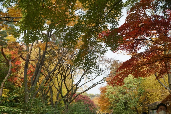 SE-75fe19ac-7227-4439-bcfd-acd14304cbb5.jpg?type=w1