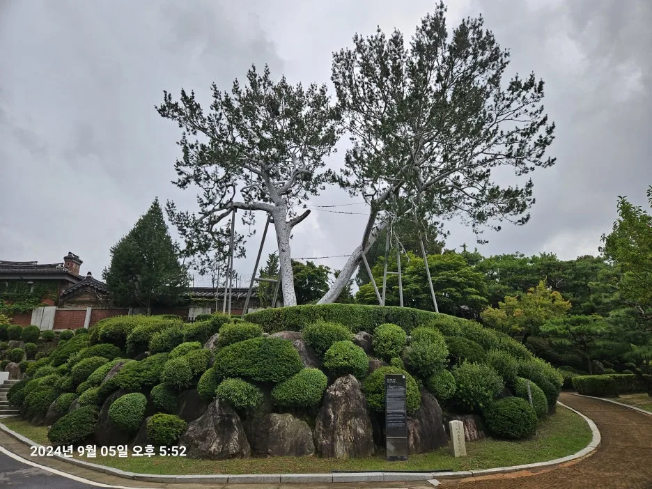 KakaoTalk_20241022_223128976_03.jpg?type=w1