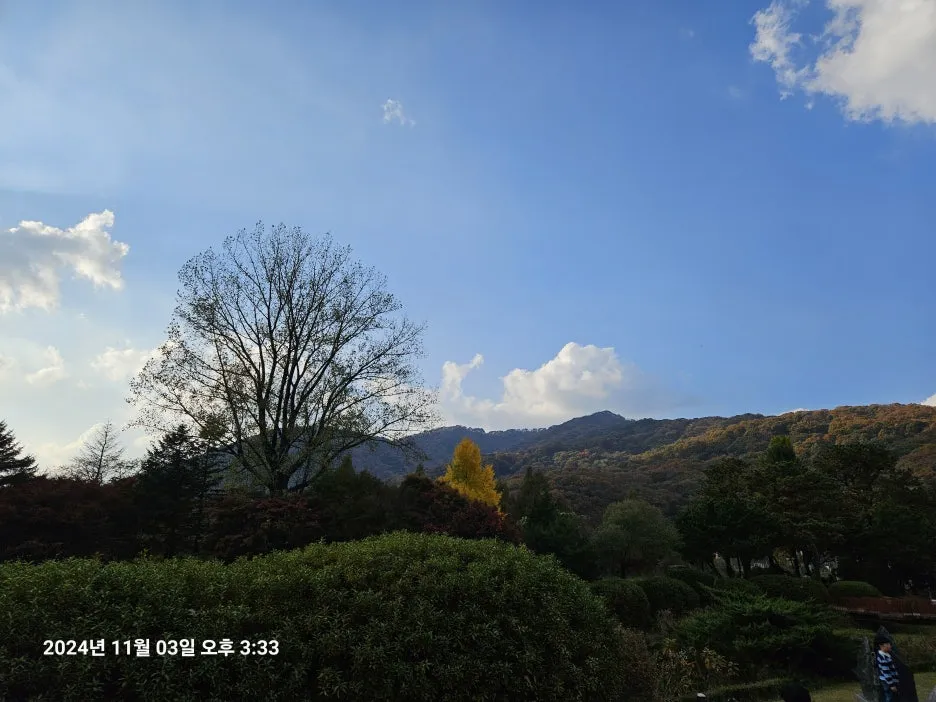 KakaoTalk_20241104_220555822_07.jpg?type=w1