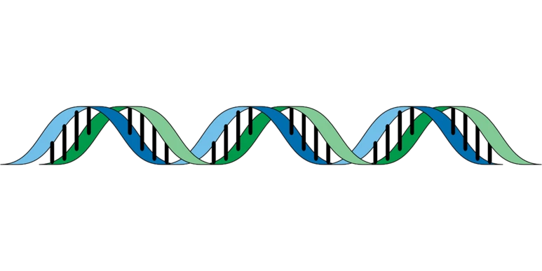 e831b90728f31c3e815e4704e3494296fe76e7d11fb9144997f8c4_1280.png?type=w773