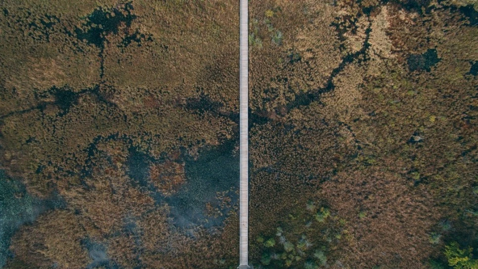 photo-1507693217704-6546c1a068fe.jpg?type=w966