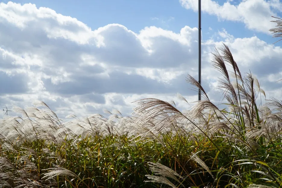 DSC01593.JPG?type=w1