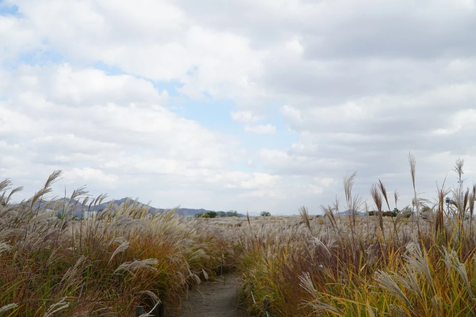 DSC01623.JPG?type=w1