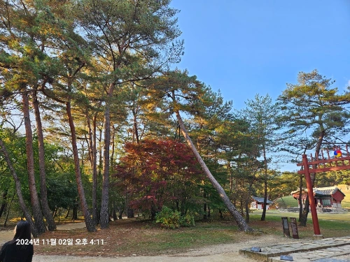 KakaoTalk_20241104_220555822_15.jpg?type=w966