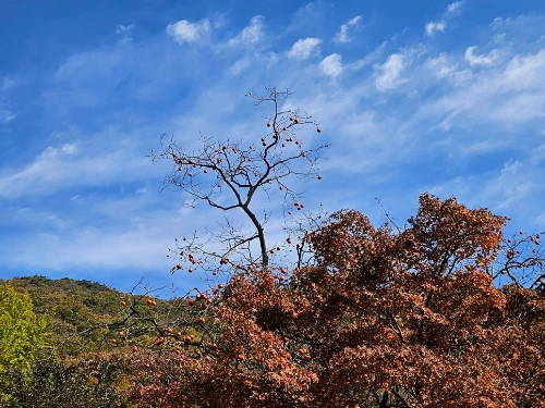 KakaoTalk_20241112_223415804_08.jpg?type=w966