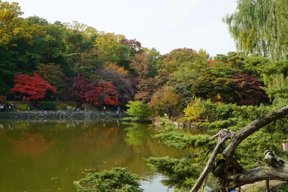 DSC02200.JPG?type=w1