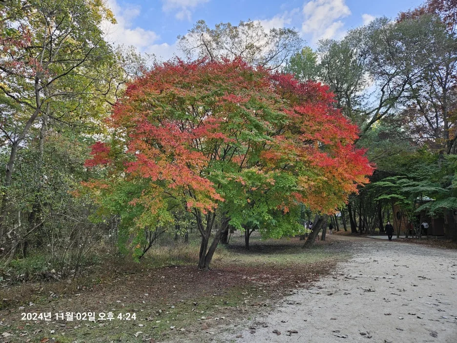 KakaoTalk_20241104_220555822_12.jpg?type=w1