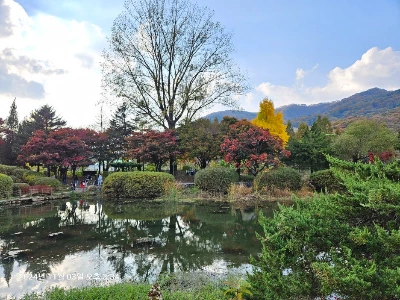 KakaoTalk_20241104_220555822_02.jpg?type=w1