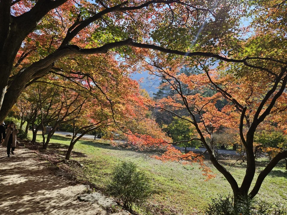 KakaoTalk_20241112_223415804_10.jpg?type=w966