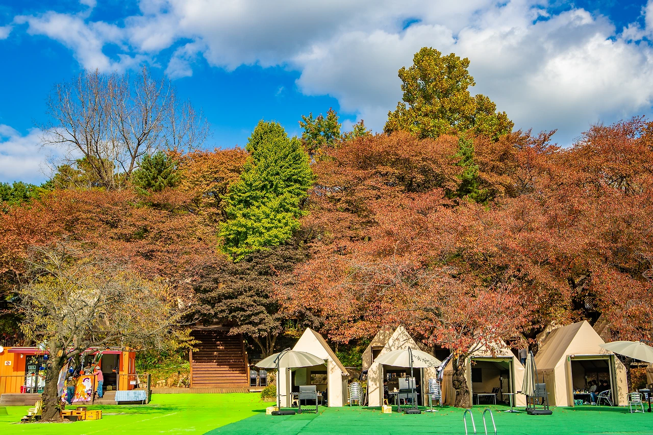 jPafos9kA1MftukpwE4Jxw-npfbUzqppC-_NgShpfxJNhTm2PT_TIqgcjPTKB_wCIDSSNCWrz-jOoKGliabF-1LkNtRKq3C5cqLVvh2AxJE2F0VFdWosWw=s0?gpos=2.0000