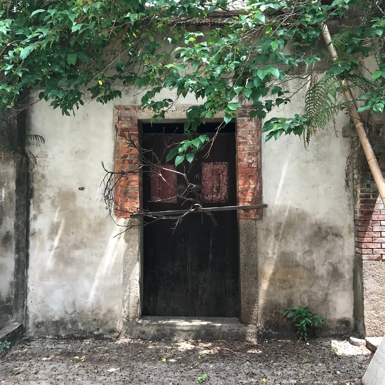 금문도 18.JPG