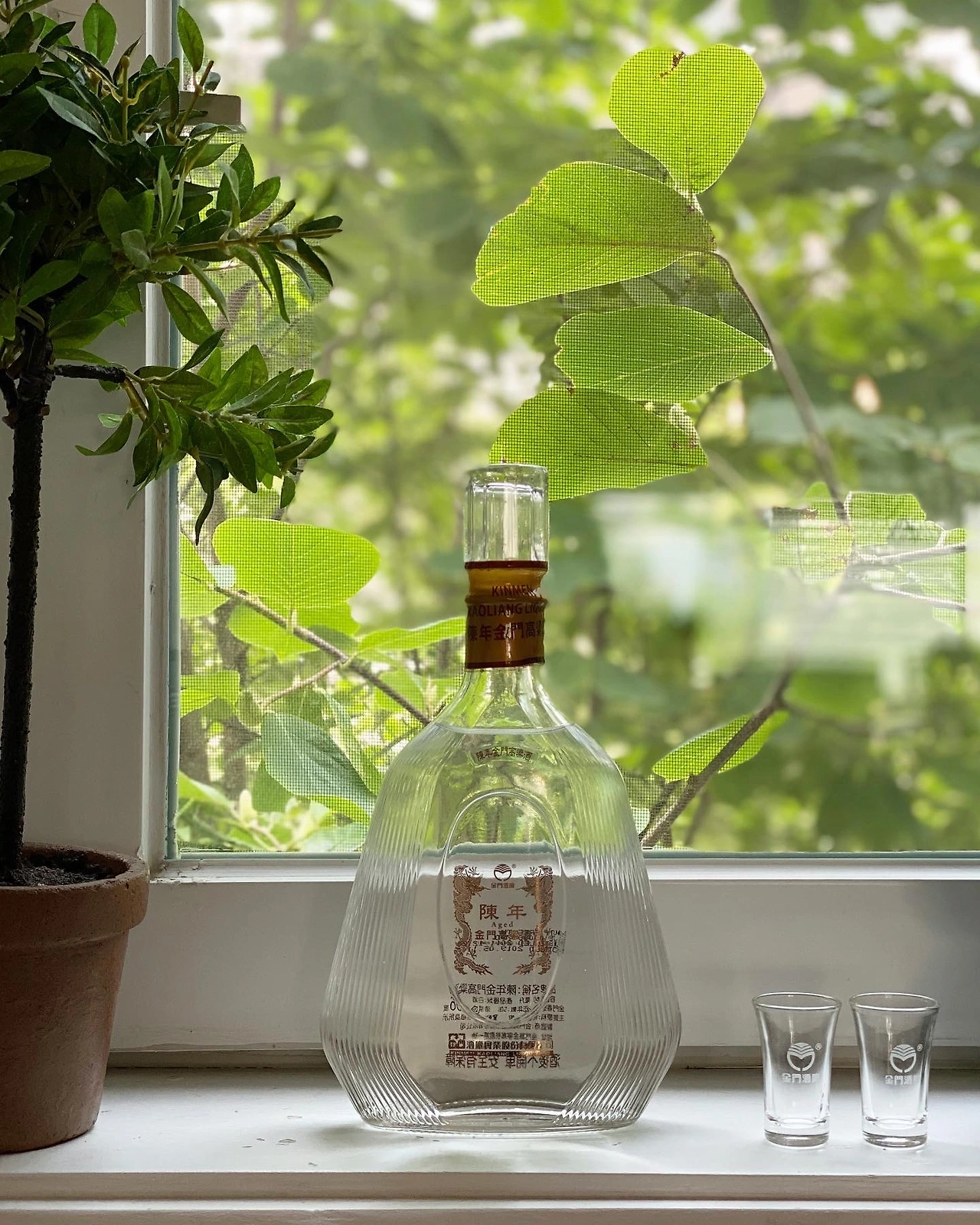 금문도 17.JPG