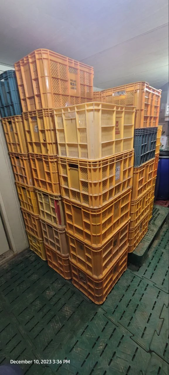 photo_2023-12-22 15.17.18.jpeg