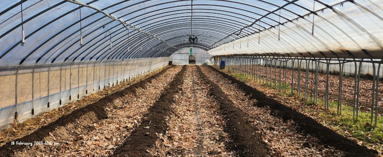 photo_2025-05-25 18.46.41.jpeg