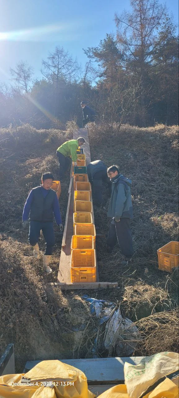 photo_2023-12-22 15.03.08.jpeg