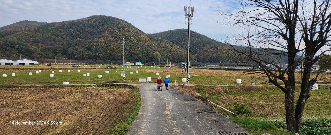 photo_2025-05-25 18.46.52.jpeg