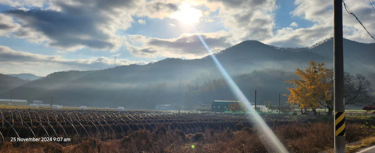 photo_2025-05-25 18.46.50.jpeg