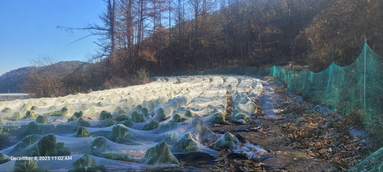 photo_2023-12-22 15.02.40.jpeg