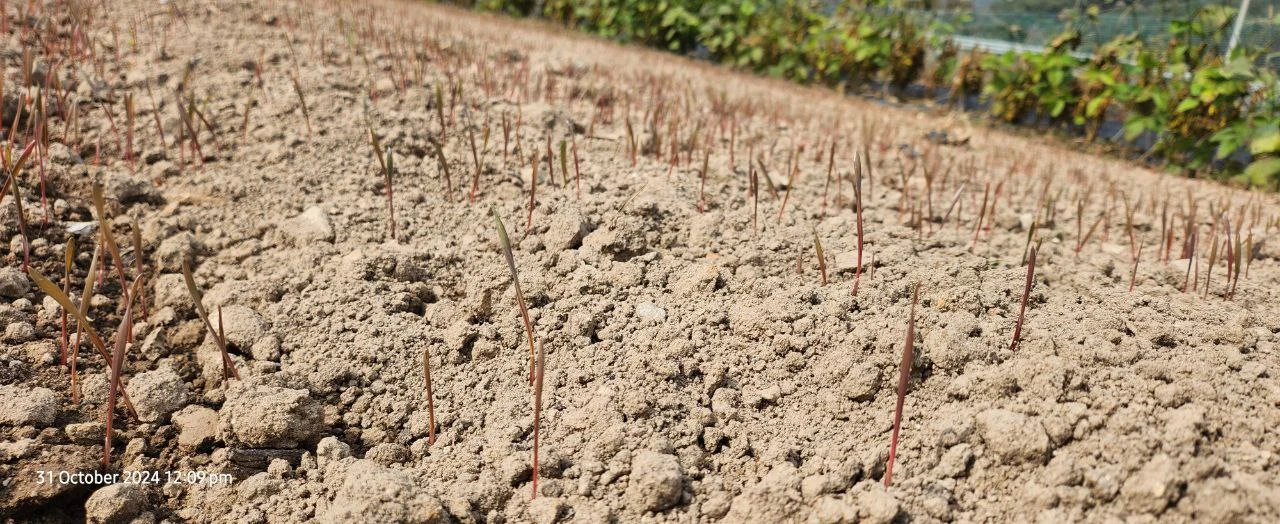 photo_2025-05-25 18.46.55.jpeg