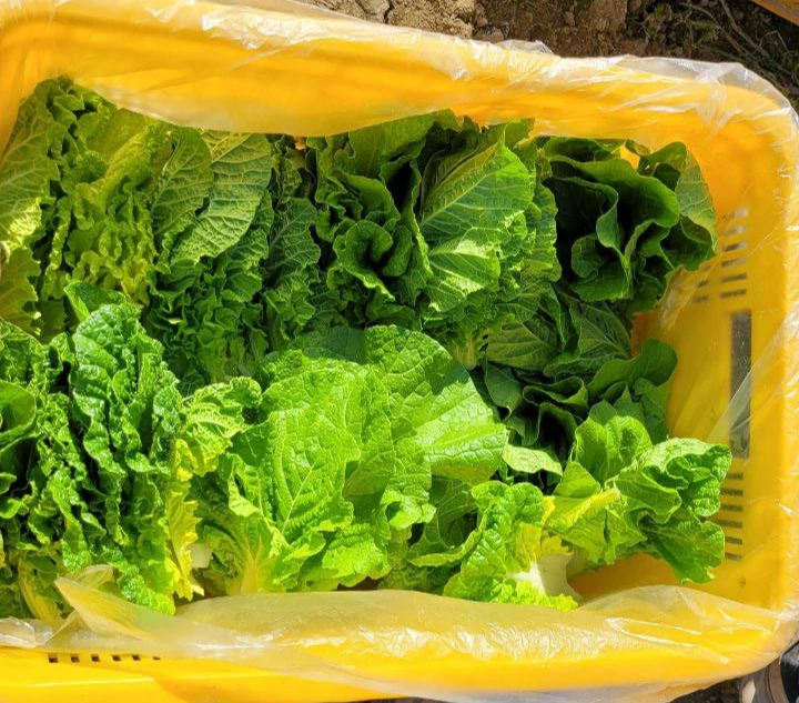 photo_2023-10-10 11.34.05.jpeg