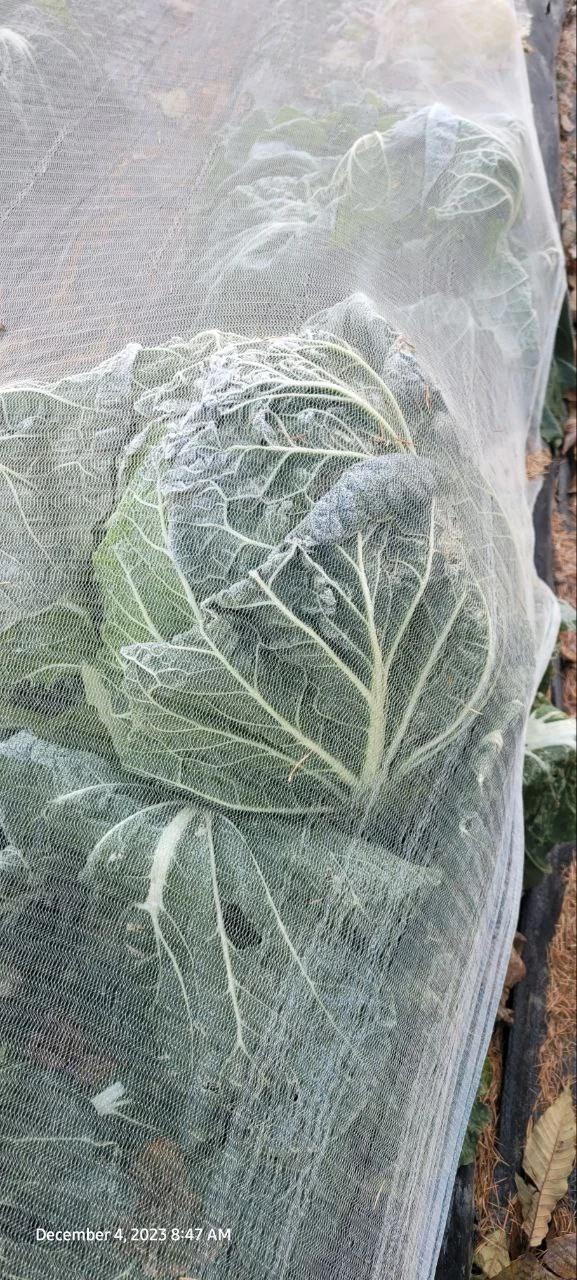 photo_2023-12-22 15.02.39.jpeg