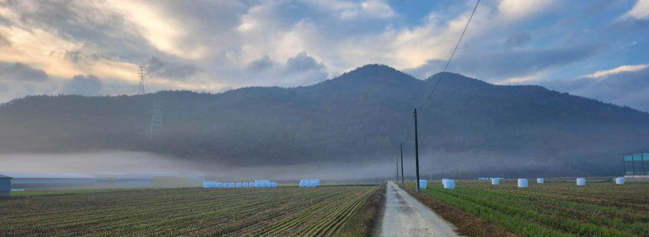 photo_2025-05-25 18.58.17.jpeg