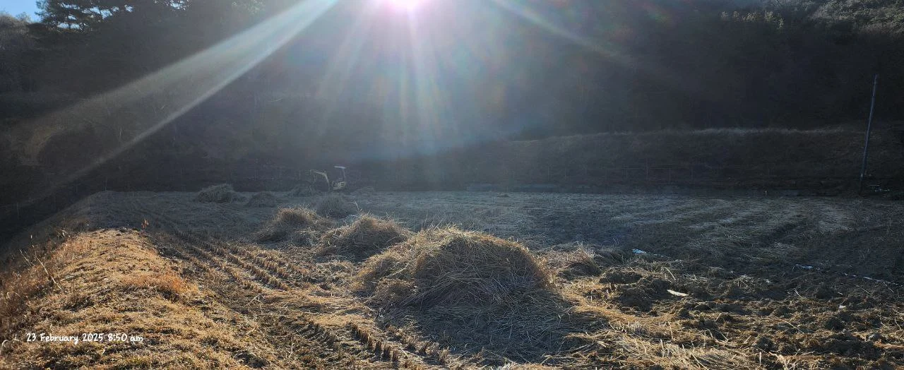 photo_2025-05-25 18.46.38.jpeg