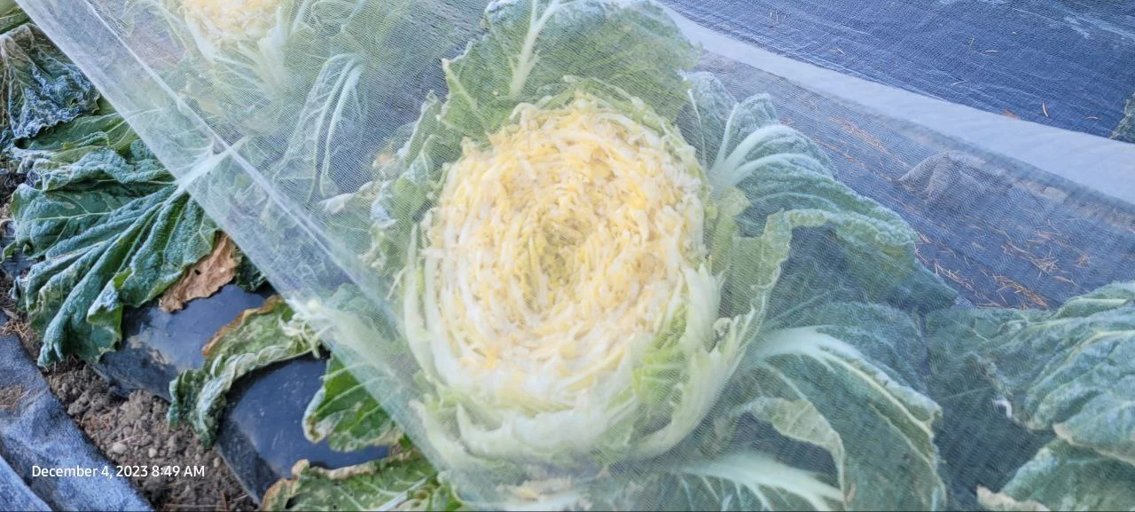 photo_2023-12-22 15.02.37.jpeg