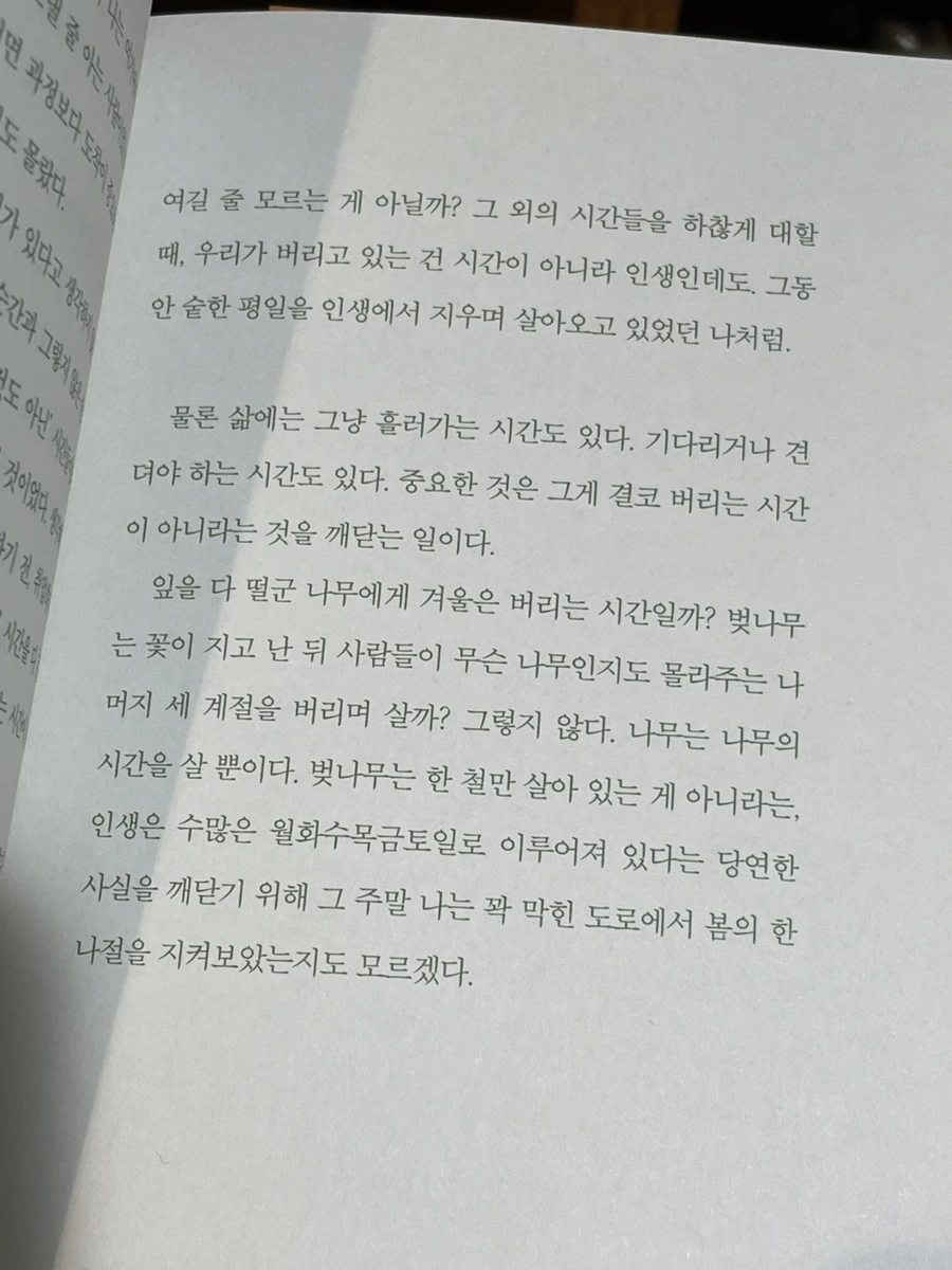 IMG%EF%BC%BF0098.jpg?type=w1