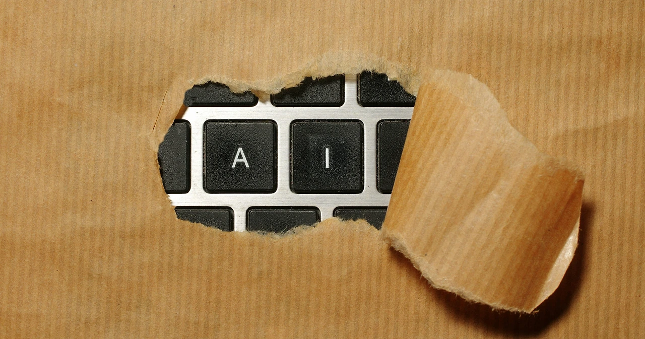 photo-1739805591936-39f03383c9a9?fm=jpg&q=60&w=3000&ixlib=rb-4.0.3&ixid=M3wxMjA3fDB8MHxwaG90by1wYWdlfHx8fGVufDB8fHx8fA%3D%3D