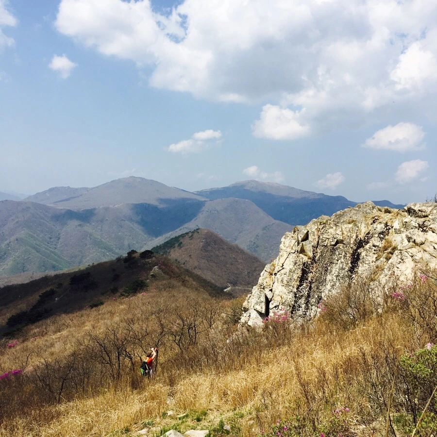 IMG_4332.jpg?type=w1